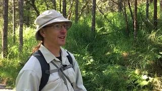 Bear Safety on the Brooks Falls Trail