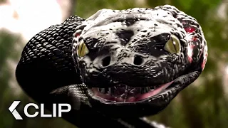 Monster Anaconda Fight Scene - ANACONDA 3: OFFSPRING (2008)