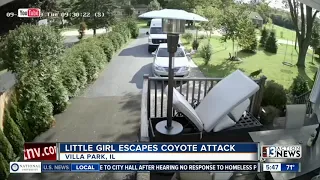 Little girl escapes coyote attack