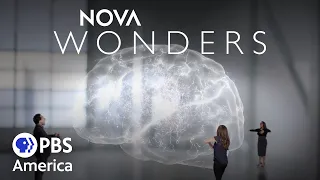 Can We Build a Brain? FULL EPISODE | NOVA Wonders | PBS America