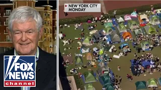 Newt Gingrich: There must be 'accountability' for colleges rife with anti-Israel chaos