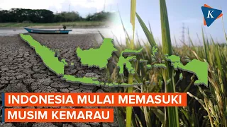 Indonesia Mulai Memasuki Musim Kemarau, Kapan Puncaknya?