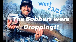 FLOAT FISHING winter STEELHEAD in Michigan (Bobber dropping action)