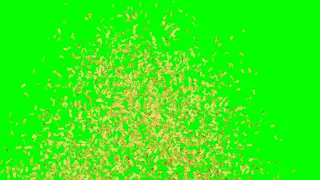 Confetti Explosion Green screen - BEST Pack of 6