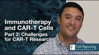 Immunotherapy & CAR T Cells: Part 2