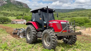 Pela primeira vez aqui no canal mostrando esse lindo Massey Ferguson 4408 cabinado cortando terra