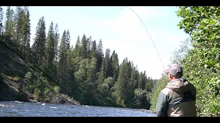 Fly Fishing in Nordland 2023/2022 // June (Eng sub)