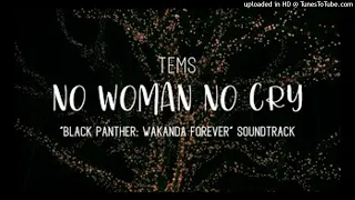 Tems - No Woman No Cry (From Black Panther Wakanda Forever) (HQ Acapella)