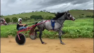 Estrela 2:32.00 x Floreta 2:35.01 x Stridox 2:37.38