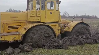 Кировец К701 застрял в грязи