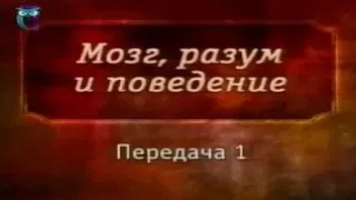 Мозг, разум и поведение. Передача 1. История представлений о мозге, мышлении и поведении