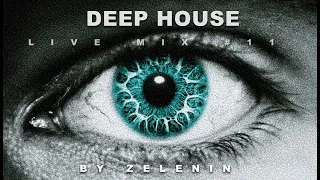 ZELENIN @11 Music DJ Mix 2024 [deep house mix] Live DJ Set 4k