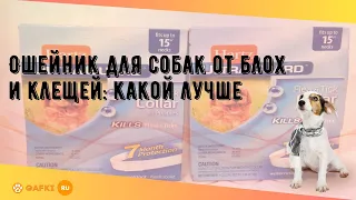 Ошейник для собак от блох и клещей: какой лучше