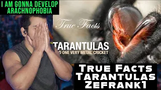 True Facts: Tarantulas by zefrank1 reaction