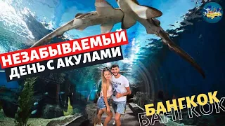 Океанариум Бангкок Siam  Ocean World.Самый большой в Азии.Пингвины.Акулы. Лайфхак по цене !!!