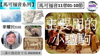 【馬可福音系列】馬可福音11章01-10節 主要用的小驢駒 麥耀民牧師 [三藩市播道會 中堂 20210314] (福音頻道 20230215)