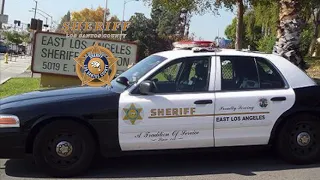 GTA V Sheriff megaphone quotes