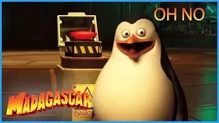 DreamWorks Madagascar | Don't Touch it Private! | Penguins of Madagascar