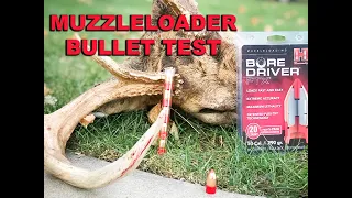 HORNADY BORE DRIVER FTX MUZZLELOADER BULLET TEST on the range and in the field!