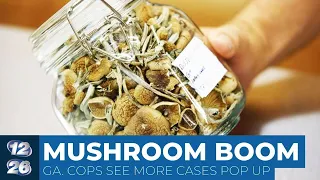 Ga. authorities seeing a boom in magic mushrooms