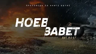 Бытие: 36. Ноев Завет (Алексей Коломийцев)