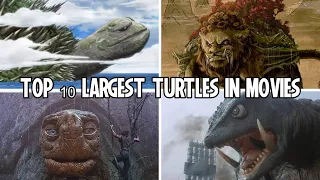 Top 10 Largest Turtles in Movies