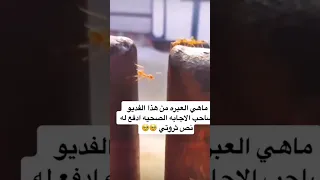 ٧ نوفمبر ٢٠٢٣