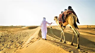 Arabian Music [4K]  - Meditation in Desert (Part 4), Arabian Violin & Arabian Nights