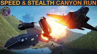 Questioned: How Would Stealth Planes Or Blackbird Do In Death Canyon Run? | DCS