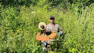 Cutting tough weeds with Stihl Fs 560-C and 561-C with trimmer line and brush knife.