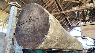 The most satisfying sawmill - sawing 5 meter long acacia logs