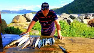 Как рыбачат в Норвегии.  Час на воде и четыре человека - с ужином. Рыболовные путешествия.