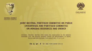 Joint Meeting: Portfolio Committee on Public Enterprises and Portfolio Committee on Mineral Resou…