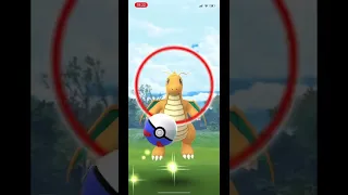 Capturing a wild Dragonite in pokemon go￼