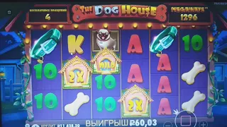 Бонус в слоте The dog house Megaways за 1600р