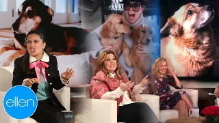 Celebs Talking About Their Dogs for 11 Minutes Straight