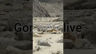 Gomukh Drashan live