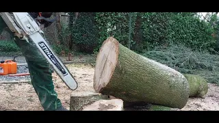 One of the most impressive stock chainsaws STIHL MS 462C-M
