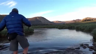 Fly-Fishing Utah's Small Mountain Streams