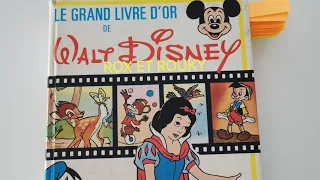 WALT DISNEY : ROX ET ROUKY