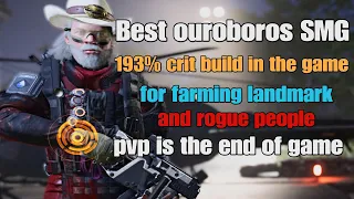 The division 2 best exotic ouroboros SMG crit damage build the game TU19 for pvp