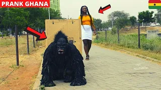 😂😂😂Giant Gorilla Prank. Scatter In The City! #KingKong