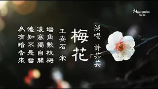 許茹芸 《梅花 • 王安石 》墻角數枝梅 淩寒獨自開 ...（詩詞：王安石• 宋）♥ ♪♫*•