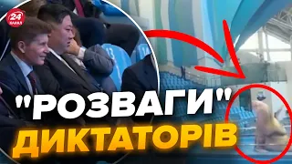 🤯Важко дивитись! Як Кім Чен Ин в Росії ЗАБАВЛЯВСЯ дресируванням МОРЖА / Жорстокість ЗАШКАЛЮЄ