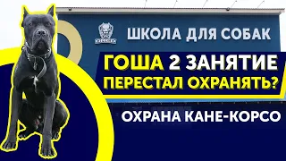 Как научить Кане-Корсо команде "Фас" | Как Гоша напугал нас на втором занятии? | Школа DRED