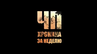 Наживались на детях, смертельный укус и человек-липкие руки в выпуске «ЧП. Хроника за неделю»