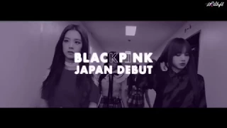 BLACKPINK JAPAN DEBUT Meets Blinks