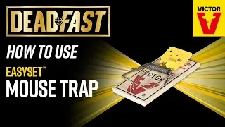 Deadfast How To Use Easy Set Mouse Trap