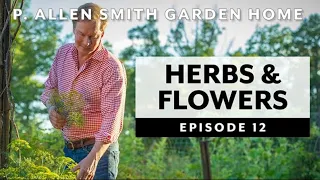 Herb and Flower Combinations: Garden Home VLOG (2019) 4K