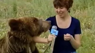 Медведь напал на журналистку